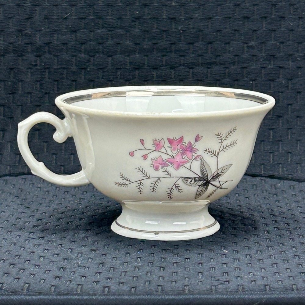 Karolina Poland China Teacup Pink Floral Silver‎ Trim Vintage Porcelain 3879 2